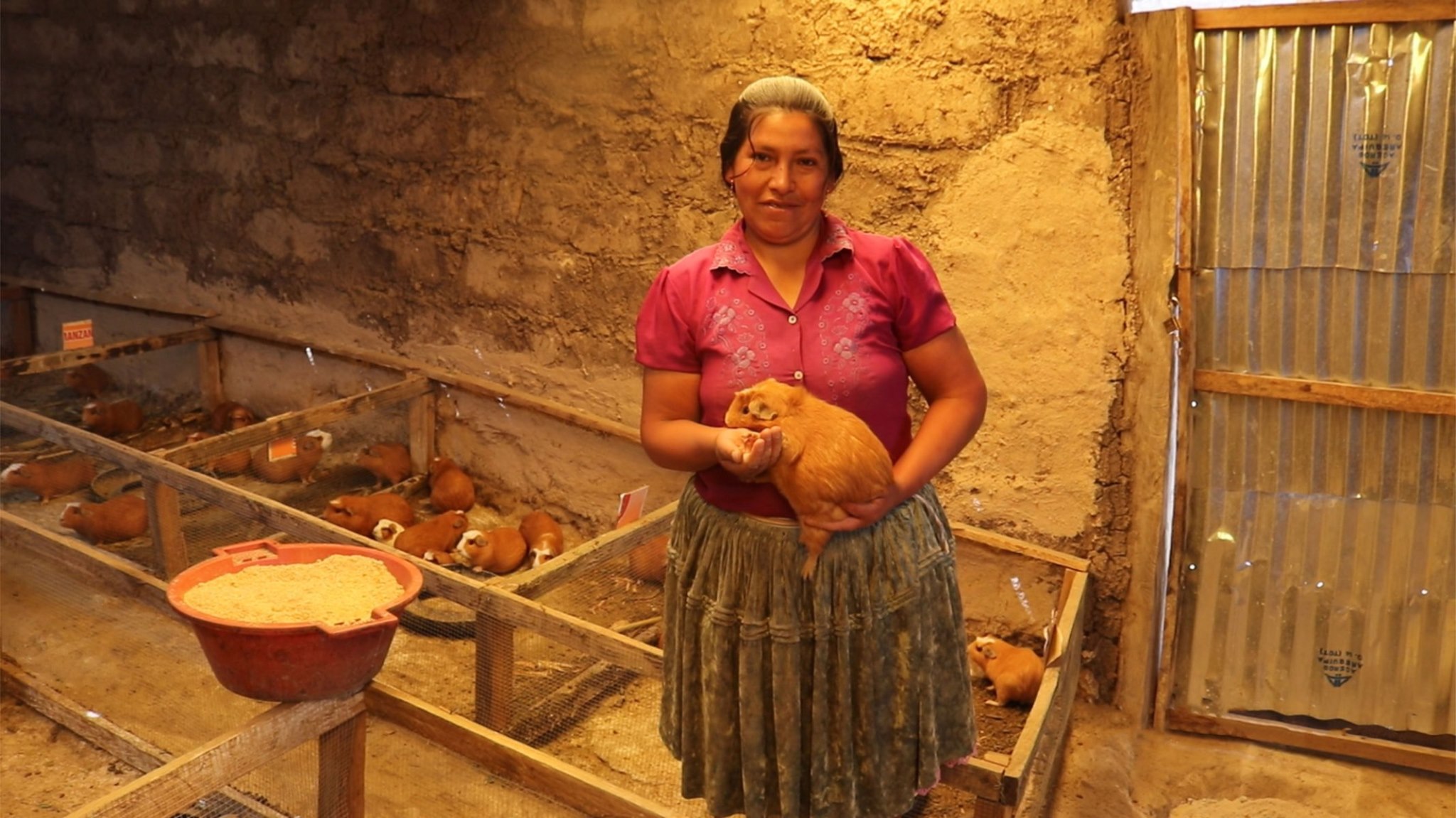 Ecosistemas y economías rurales